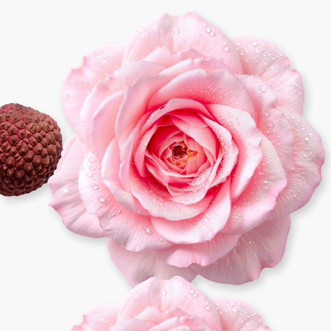 DELINA HAIR PERFUME