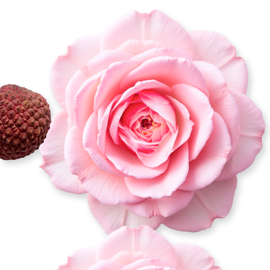 DELINA BODY CREAM