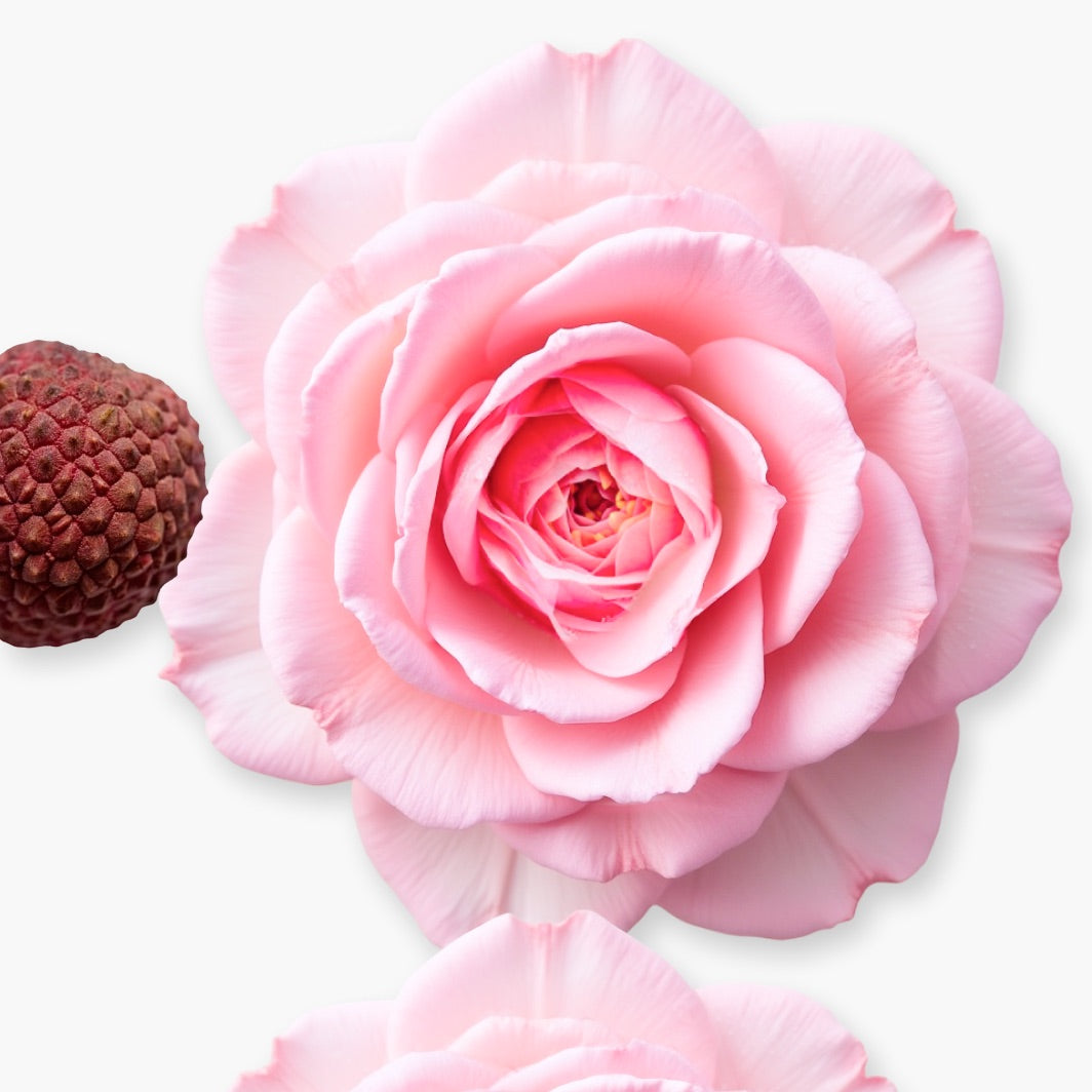 DELINA BODY CREAM