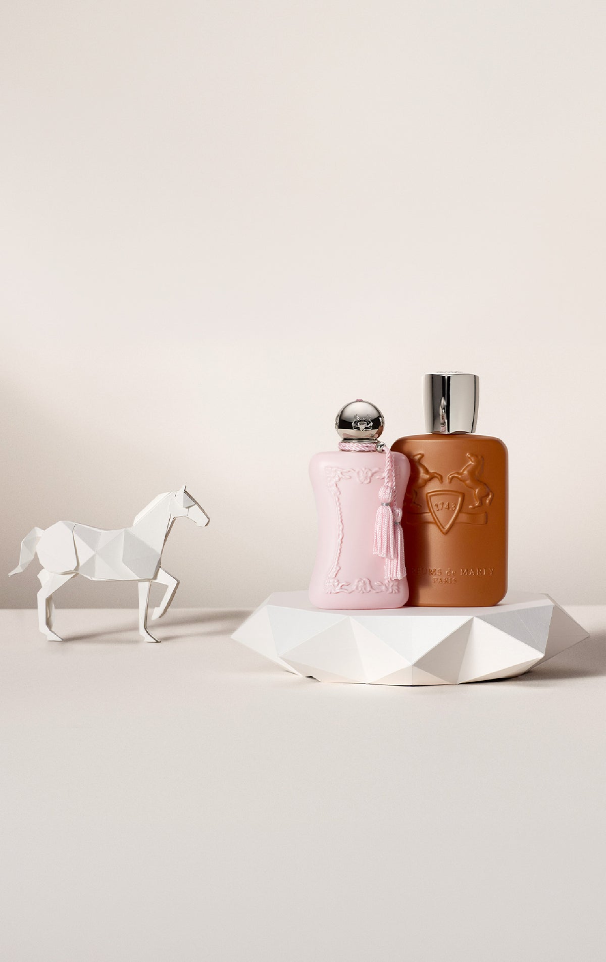 Discover the Icons