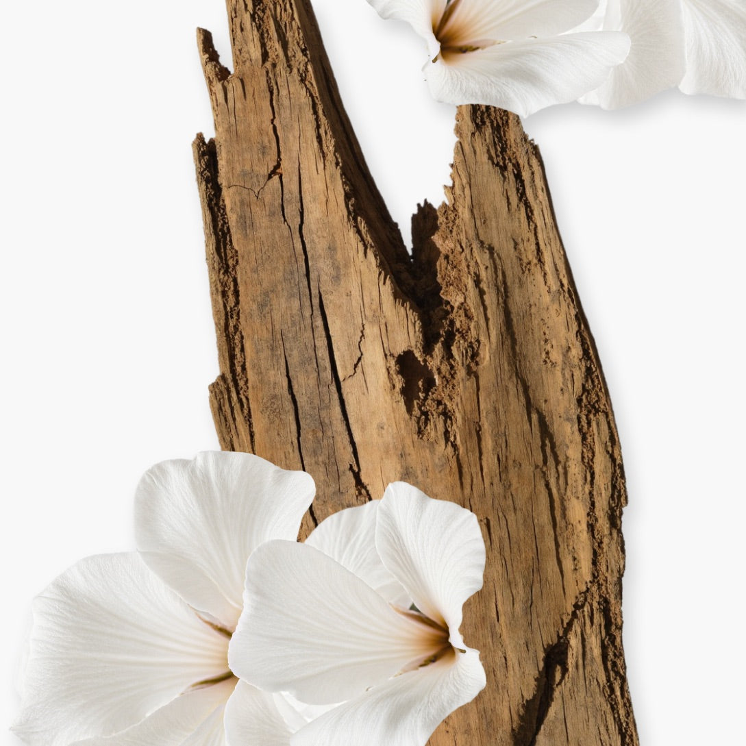 VALAYA HAIR PERFUME